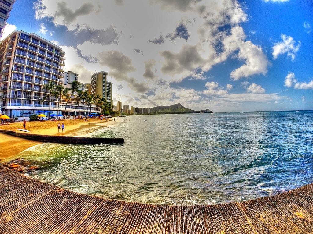 Waikiki Shore 515 Beachfront&Upgrade Lägenhet Honolulu Exteriör bild